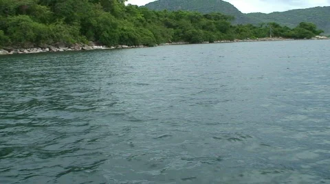 Malawi: eagle fishing Stock Footage 362196