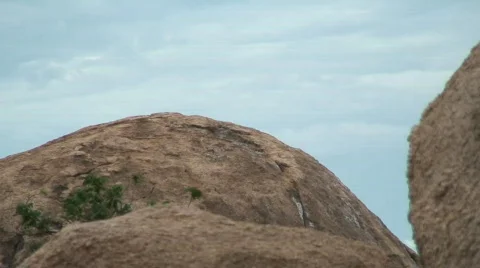 Malawi: eagle landing on a rock Stock Footage 361436