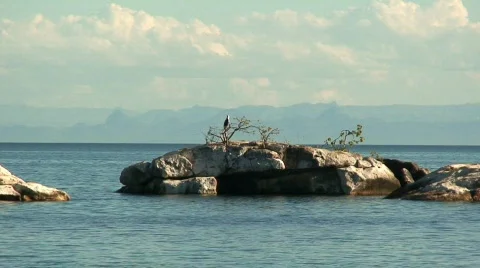 Malawi: eagle on a rock 2 Stock Footage 446197