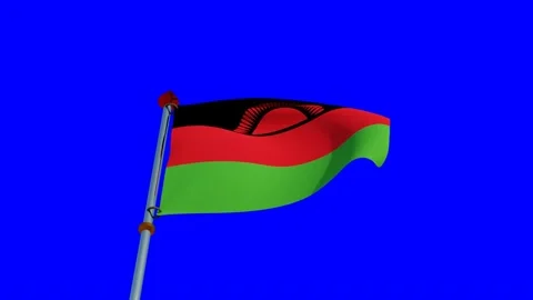 Malawi Flag in 3D Stock Footage 158077486