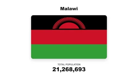 Malawi - Flag And Population Statistics - Digital Graphics Stock Footage 342622657