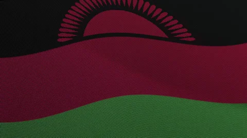 Malawi Flag Digital Particle Waving Seamless Loop Animation on Black Backgrou Stock Footage 339303040