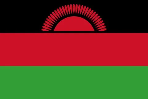 Malawi flag flat vector illustration Stock Illustration