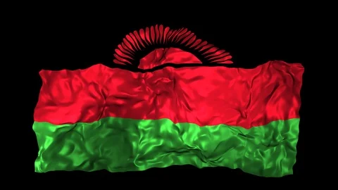 Malawi flag Stock Footage 110822310