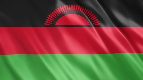 Malawi Flag Stock Footage 123779303