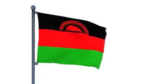 Malawi Flag Stock Footage 150202280