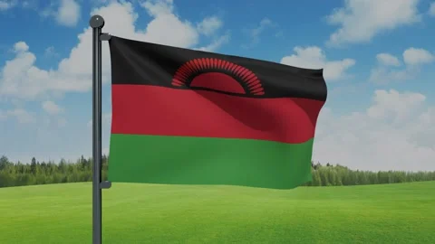 Malawi Flag Stock Footage 153254840