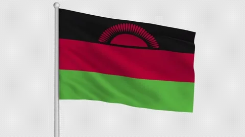 Malawi Flag Stock Footage 226986884