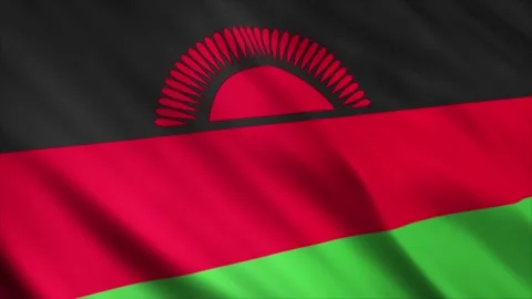 Malawi Flag Stock Footage 249032961