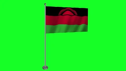 Malawi Flag in Full Motion on Green Screen Stock-Footage 278030831