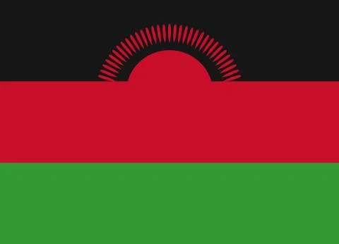 Malawi flag イラスト素材