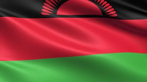 Malawi Flag Stockillustratie