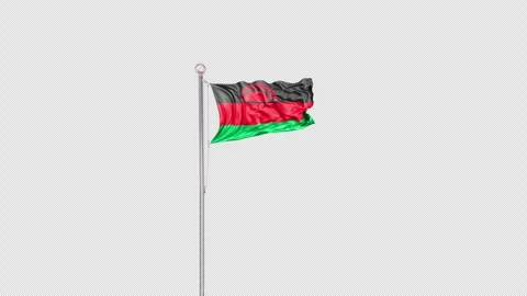 Malawi   Flag Pole  Animation Include Alpha 3D Rendering Stock-Footage 312077926