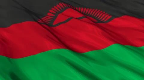 Malawi flag Seamless Stock Footage 49087513