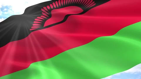 Malawi Flag Seamless Loop 4k 60fps on Sky Background Vídeos de archivo 341564665