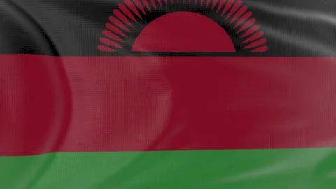 Malawi flag in slow motion animation waving in the wind realistic Stock Footage 142987746