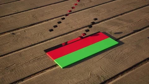 Malawi Flag - Slow Motion Stock Footage 318815217