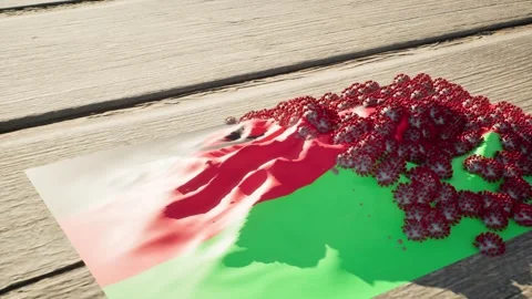 Malawi Flag - Virus Growth Video stock 320280880