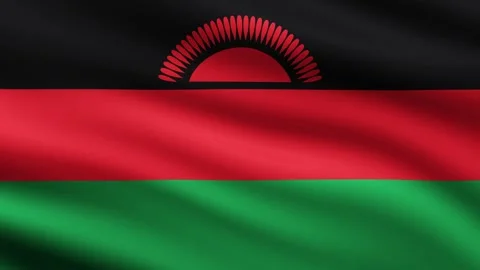 Malawi Flag Waving Animation Background Animated Flag Of Malawi flaying in wind Stock Footage 271210116