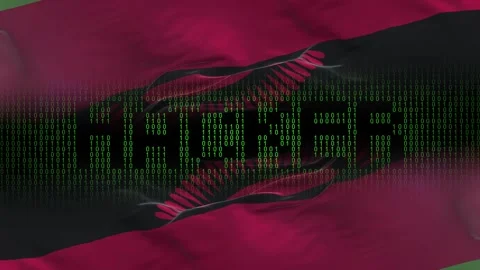Malawi flag - Waving flag on matrix binary code background Stock Footage 321420287
