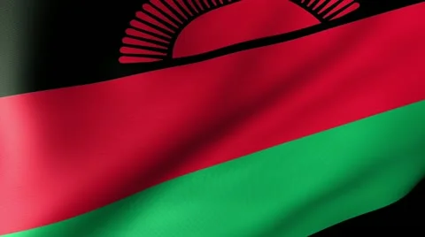 Malawi Flag Waving Stock Footage 12207083