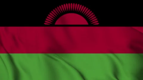 Malawi flag Waving Stock Footage 294135752