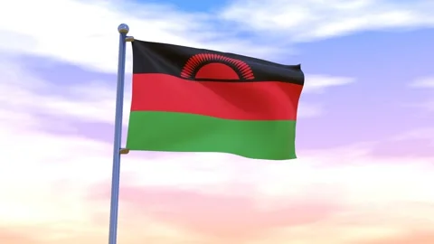 Malawi Flag waving in the high wind Stock Footage 154711767