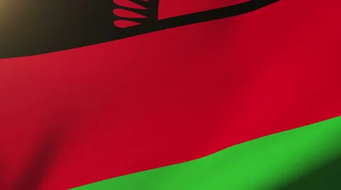 Malawi flag waving in the wind. Looping sun rises style.  Animation loop Stock Footage 48908633