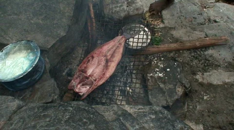 Malawi: grilling fish on fire 2 Stock Footage 361911