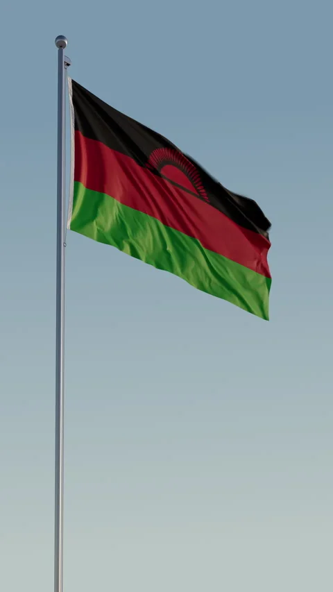 Malawi Lilongwe Flag Seamless Loop Cinematic Realistic Waving Blue Sky 스톡 동영상 320438128
