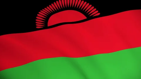 Malawi National Flag Stock Footage 129541487