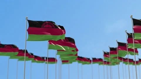 Malawi Row Of Flags 3D Animation Stock Footage 148720764