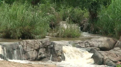 Malawi: small river in a mountain 2 Stock Footage 740515