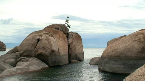 Malawi: surviving in a rock Stock Footage 363741