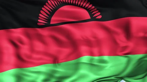 Malawi Waving Flag Background Stock Footage 204136908