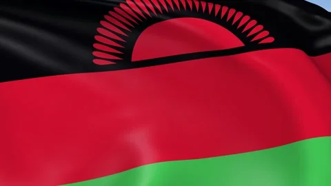 Malawi Waving Flag Background Loop Stock Footage 317844969