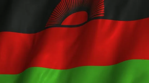 Malawi Waving Flag Stock Footage 12304523