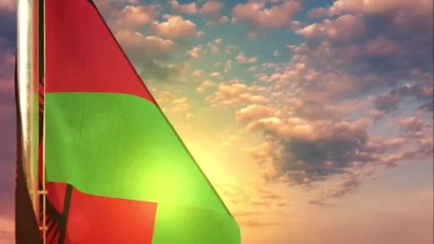 Malawi waving flag on nice sundown bg 動画素材 252820068