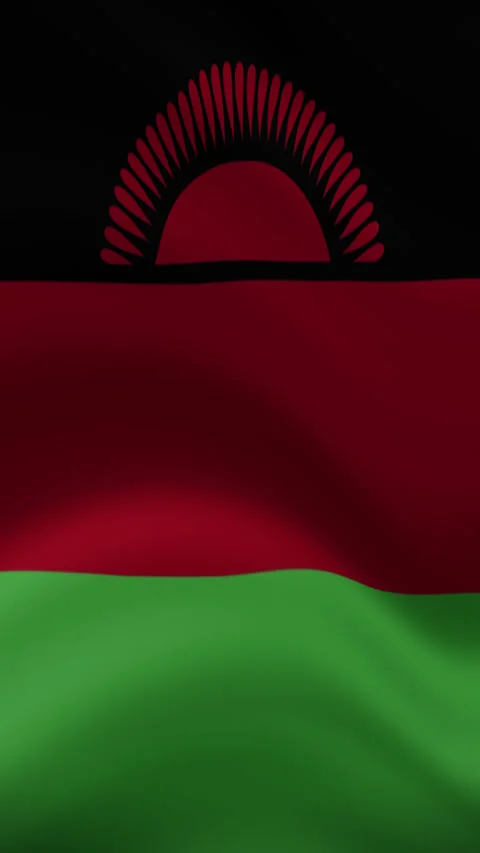 Malawi Waving Flag in Vertical Orientation – Realistic Loop Animation Stock Footage 294949329