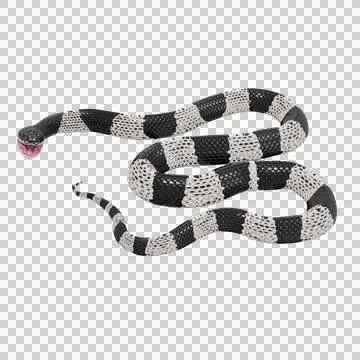 Malayan Krait Pose Illustrazione stock