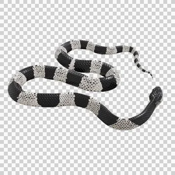 Malayan Krait Pose Stock Illustration