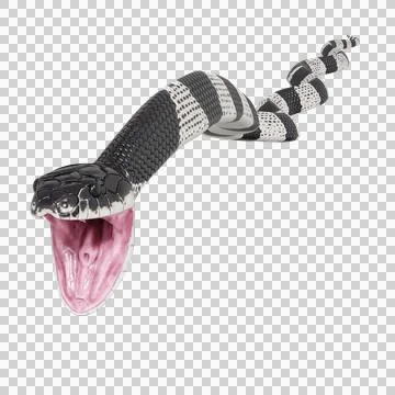 Malayan Krait Pose Stock Illustration