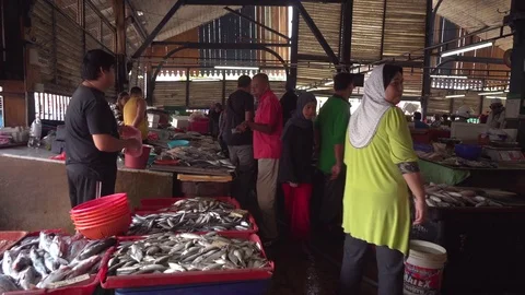 Malaysia Fishmarket Video stock 80249235