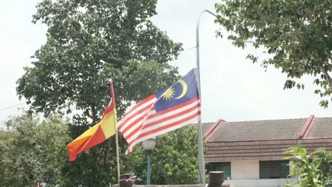 Malaysia flag 4 Video stock 138300918
