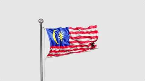 Malaysia Flag  Animation Loop Include Alpha 3D Rendering Stock Footage 312078153