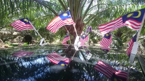 A Malaysia FLAG on a car Stock Footage 145799475