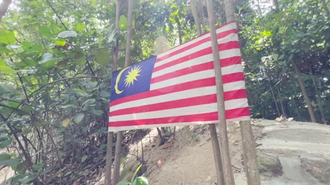 Malaysia flag in jungle Stock Footage 220105601