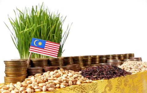 Malaysia flag waving with stack of money coins and piles of wheat and rice .. Stock Photos