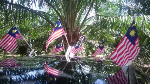 A malaysia flags on car Stock Footage 145800275