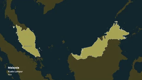 Malaysia map - solid. Border. Pattern. Labels Stock Footage 177505108